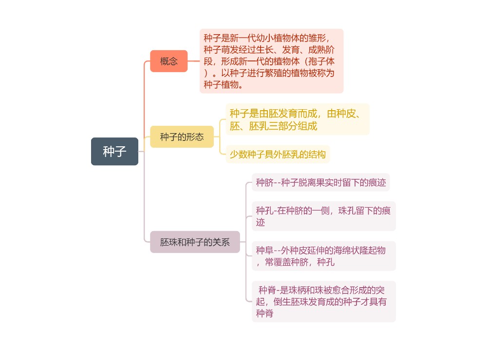 种子思维脑图