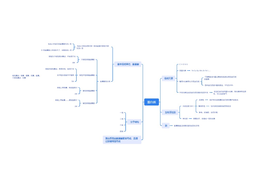 蛋白质思维脑图
