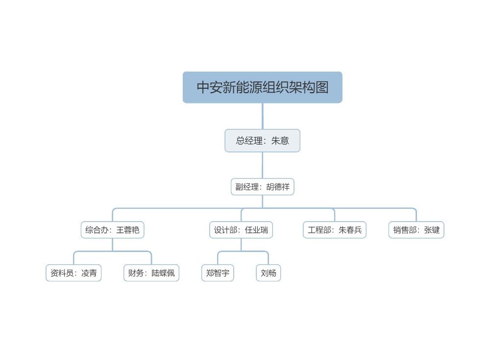 中安新能源组织架构图