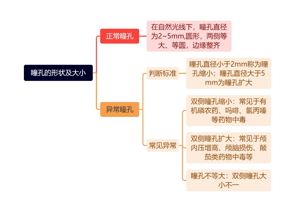 瞳孔的形状及大小