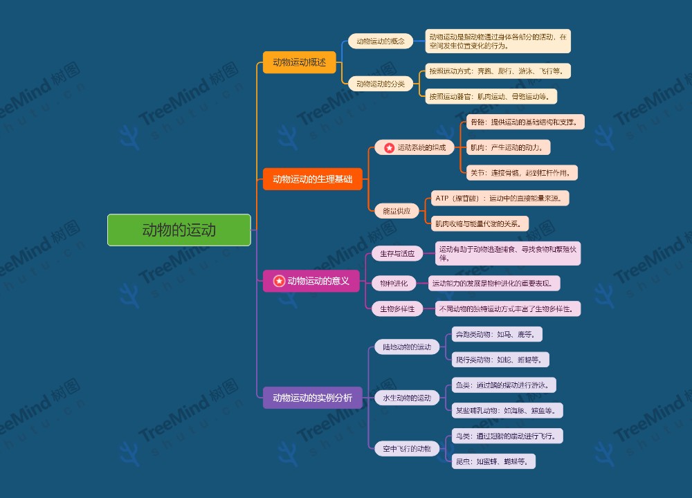动物的运动思维导图